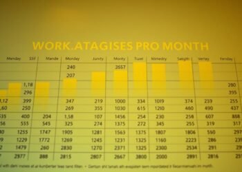 Durchschnittliche Arbeitstage pro Monat